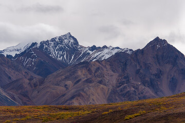 View of the stunning mountain tops and beautiful scenery in autumn colors of Denali National Park, Alaska, USA