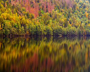 The reflection of the trees in the water, autumn colors