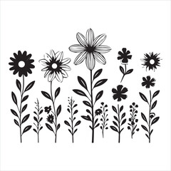 illustration of a rose