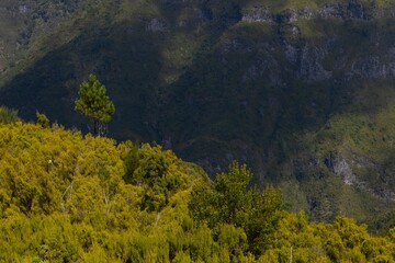 Mountains. Forest. Valley. Rabacal Madeira Portugal. Highlands. 