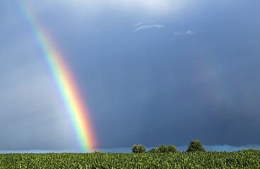 Naklejka premium Very bright rainbow over the fields. Agricultural landscape in eastern Lithuania.