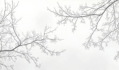 Obraz premium Snow-covered branches reaching into a pale winter sky, their delicate frost details shimmering in soft light
