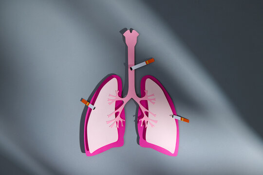 A lung model showcasing smoking harm with a cigarette inside