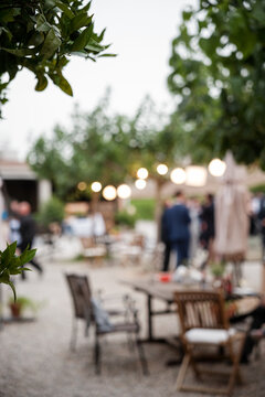 Party in the garden at evening