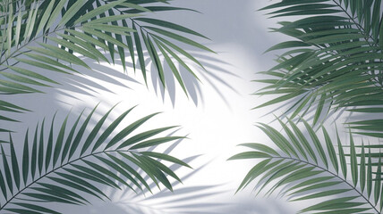 Obraz premium Tropical Palm Leaves with Shadows on White Background Minimalist Nature Design