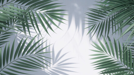 Tropical Palm Leaves with Shadows on White Background   Minimalist Nature Design