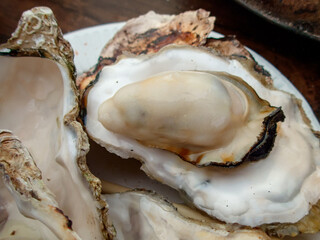 都会のカキ小屋