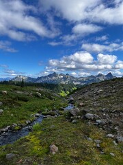 Vast Green Valley and Majestic Mountains