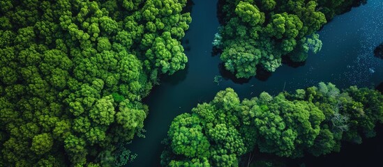 Stunning Aerial Photographs of Natural Landscapes