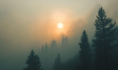 Wildfire Smoke Hiding the Sun