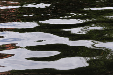 Water ripples