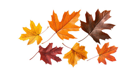 A row of autumn leaves with some brown leaves in the middle