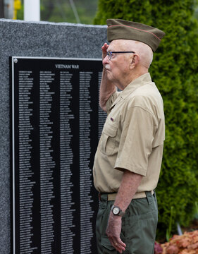 Senior Citizen military man at war memorial rear view at plaque
