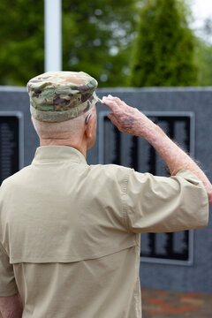Senior  military man at war memorial rear view 