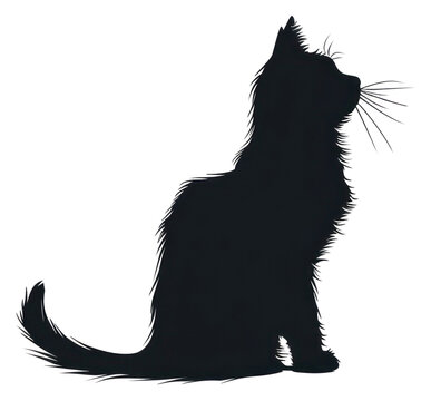 recommend clip art: PNG Cat silhouette animal mammal pet.