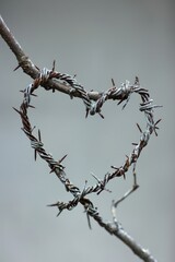 Obraz premium Heart shaped from barbed wire, contrasting love with conflict.