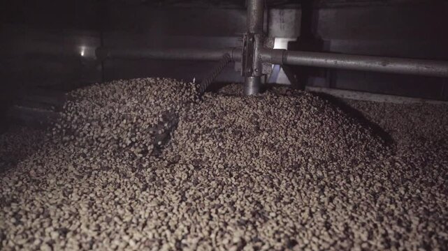 Secado de Caf&eacute;, Colombia Sierra Nevada de Santa Marta- Pueblo Bello- Cesar