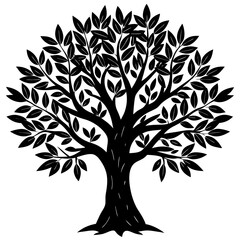 Obraz premium Olive Tree silhouette on white background