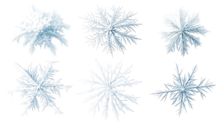 Natural Frost Patterns on Window Panes Showcasing Intricate Designs Generative AI