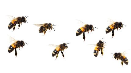 Detailed Macro View of Stunning Bees in Flight During Pollination Generative AI