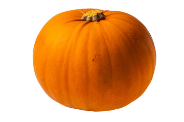Macro view of orange pumpkin isolated on white background.