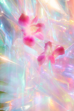 Surreal Orchids iridescent