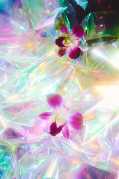 Surreal Orchids iridescent