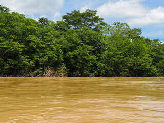 Amazon River and Amazon primeval forest. Brown muddy water, dark green tropical jungle vegetation...