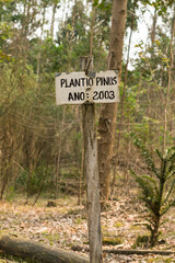 Obraz premium Sao Francisco de Paula, Brazil - August 30th 2024: Sign at a Pinus plantation started in 2003