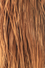 Dry palm leaves background. Nature background. Palm leaves background, wallpaper
