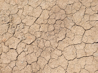 Cracked dried out ground, water less structure. Distinctive texture of yellow-grey and dark cracks.