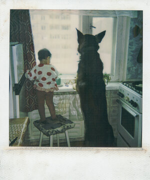 Child And German Shepherd Gazing Out Window, 1994
