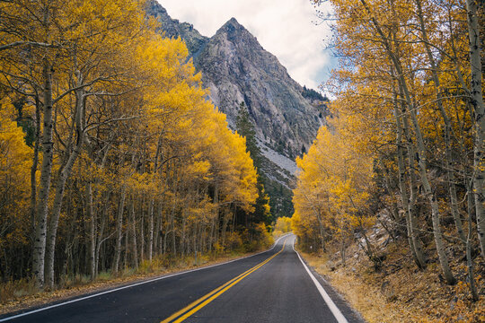 Fall Colors on the June Lake Loop