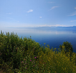 Summer landscape with mountains and purple flowers on Circum-Baikal Railway