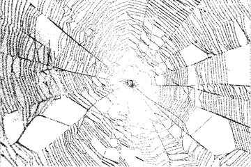 spider web holloween element dot stripple art. texture interior background line art. set of graphics elements drawing design. 