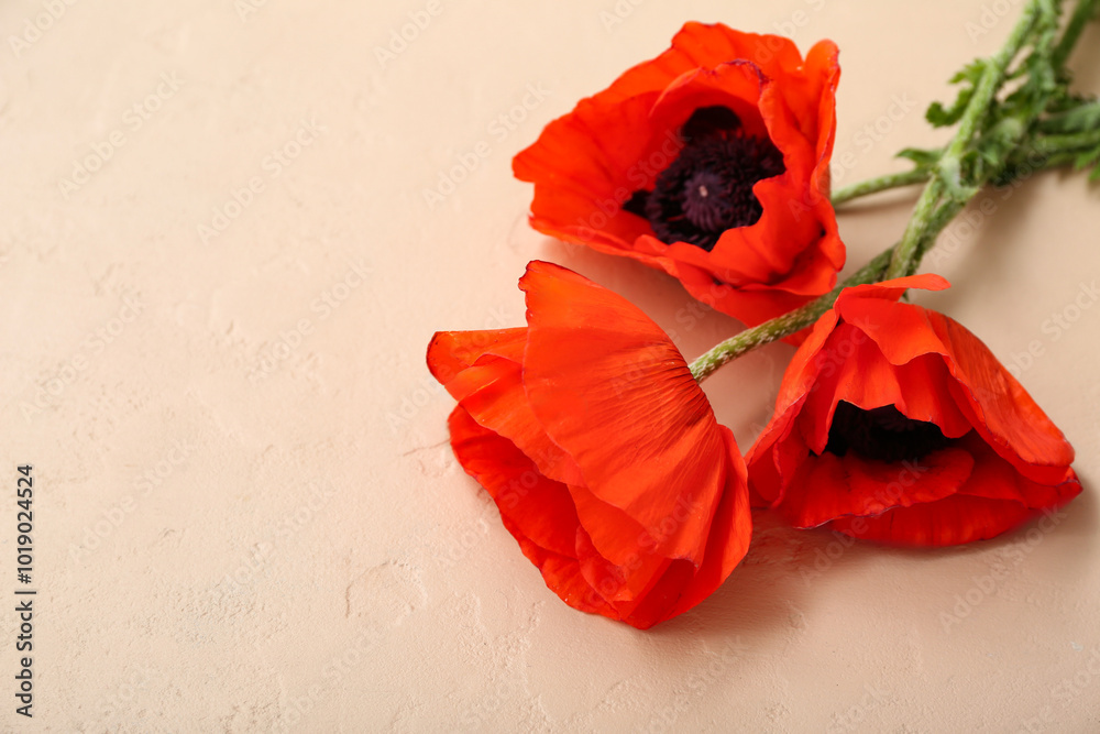 Wall mural beautiful poppy flowers on beige background