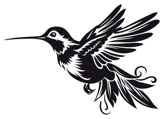 Obraz premium PNG Hummingbird animal creativity silhouette.