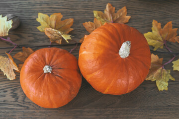 Two bright orange pumpkins with autumn leaves on a wooden table, Halloween, Thanksgiving day decor