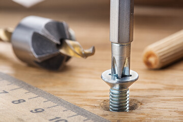 screwdriver screw in a wood oaks plank