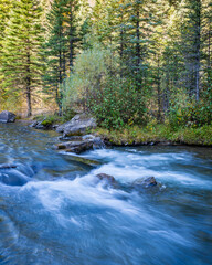 Obraz premium Fall Season in the Southern Colorado Mountains, America, USA. Stunning Views of Golden Aspens in Rocky Mountains.