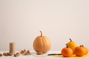 Raw pumpkins, acorns and threads for Halloween celebration on light background