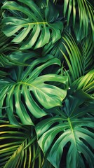 Fototapeta premium Close-up of vibrant green palm leaves showcasing their intricate veins in natural sunlight