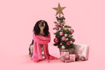 Cute cocker spaniel in scarf with Christmas tree and presents on pink background