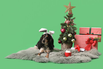 Cute cocker spaniel in bunny ears with Christmas tree and gifts on green background