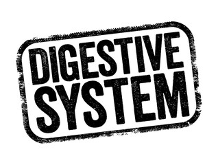Digestive System consists of the gastrointestinal tract plus the accessory organs of digestion, text concept stamp