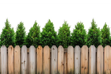 Fototapeta premium Green shrubs atop a wooden fence, transparent background