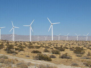 wind turbines farm