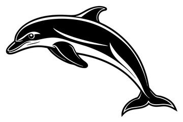 dolphin isolated on white background