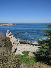Rocky Beach with Cypress Trees and Ocean View