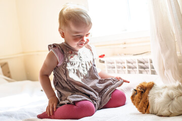 Toddler enjoys playful interaction with a guinea pig in a sunlit room during daytime